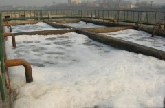 <b>造紙廢水處理</b>